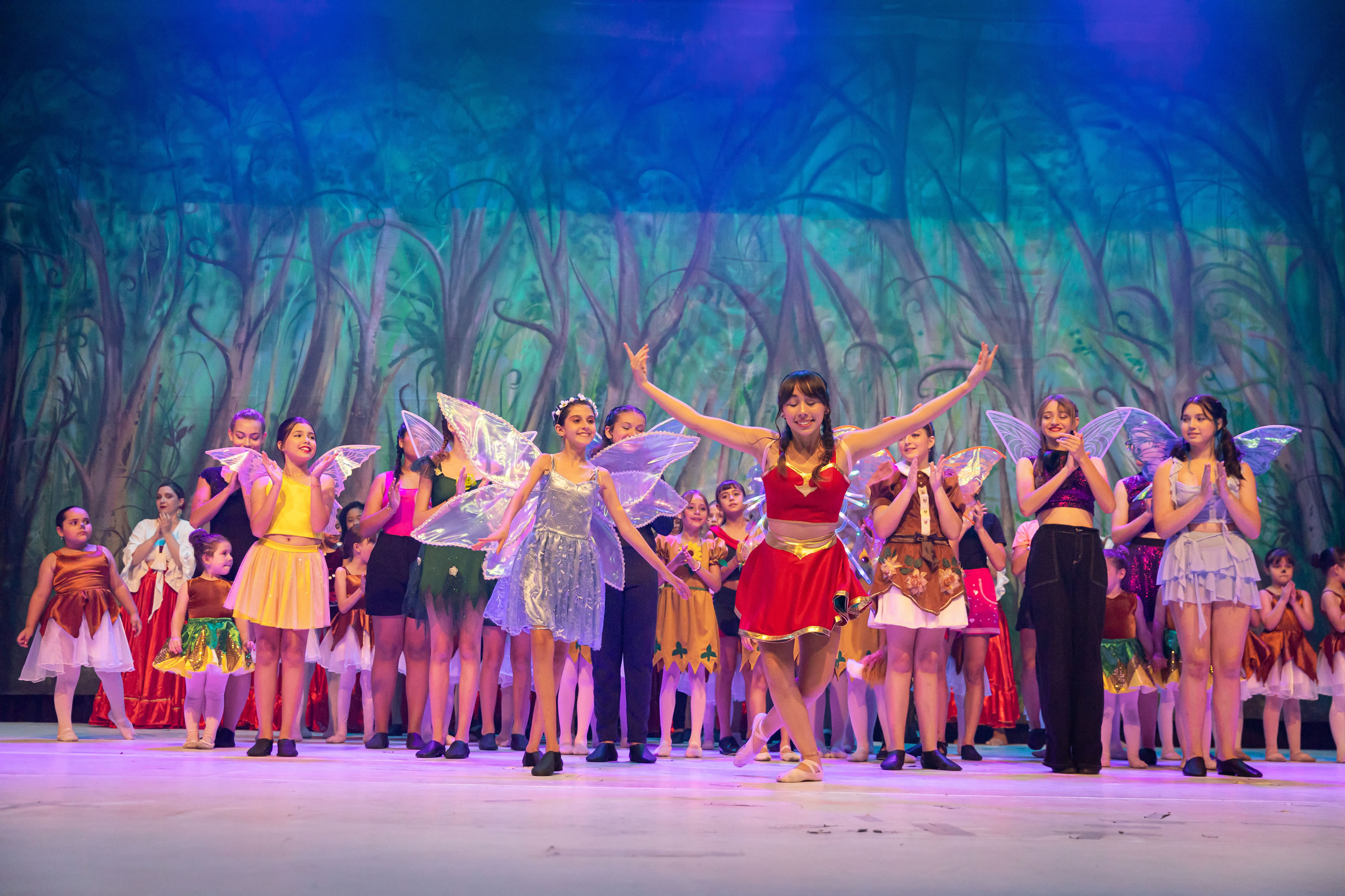 Festival de dança 2025